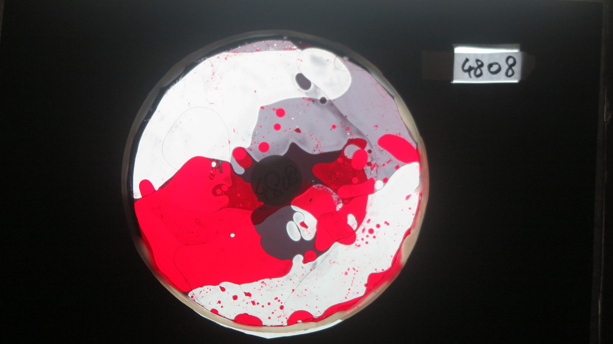 BV4808 bubble vision oil wheel